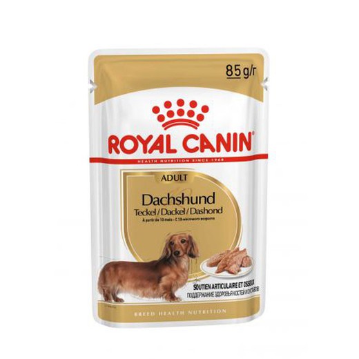 Royal Canin Comida húmeda breed health nutrition para perro dachshund adult
