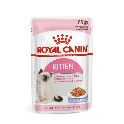Royal Canin Comida húmeda feline health nutrition para gato kitten (gelatina)