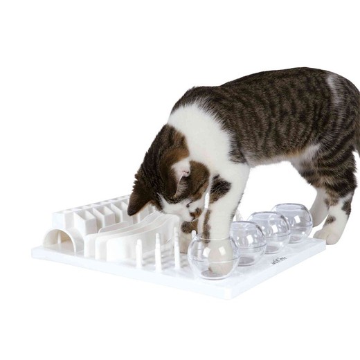 Juego Interactivo Fun Board para Gatos