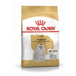 Royal Canin Pienso breed health nutrition para perro maltese adult