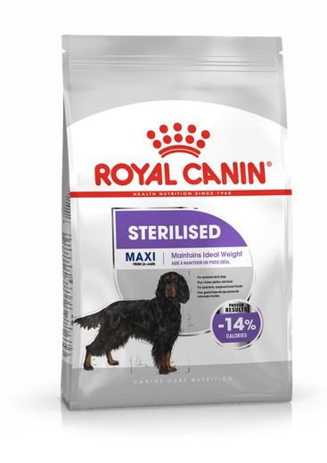 Royal Canin Maxi sterilised pienso para perro