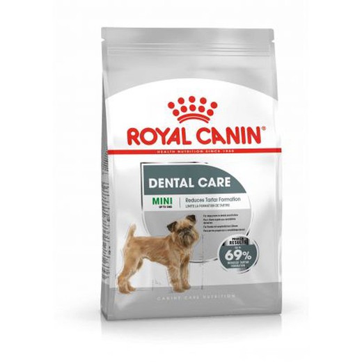 Royal Canin Mini Dental Care pienso para perro
