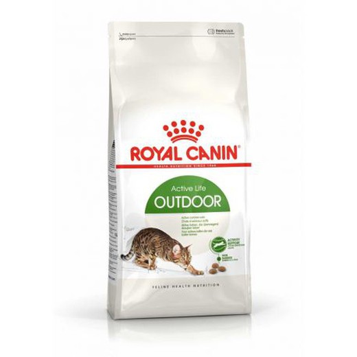 Royal Canin feline health nutrition outdoor 30 pienso para gato