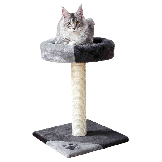 Poste Rascador Tarifa para Gatos marca Trixie color gris/negro