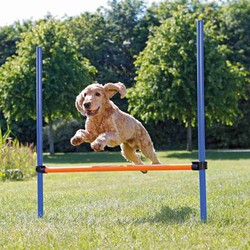 Valla para Agility para Perros marca Trixie referencia 26047 color azul/naranja